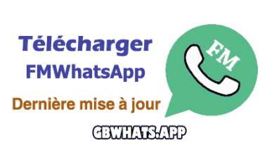 Télécharger FMWhatsApp, WhatsApp Fouad, dernière version 2024